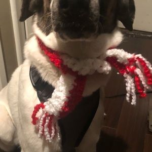 Red & White Dog Christmas Scarf Size XXLARGE